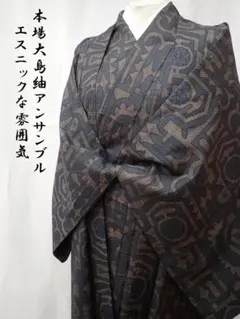 本場大島紬 アンサンブル エスニック文様 幾何学羽織 羽織紐 全3点セット