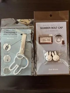 Item thumbnail for item 903c9be7-d2bf-415a-bc0f-9c623cc27bcb