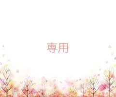 ʚ Cocoa ɞ専用　布ナプキン　ハンドメイド　オーダー