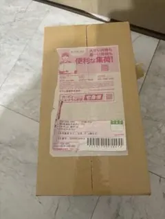 ポケモンセンター フクオカ スペシャルBOX 未開封ダンボール箱