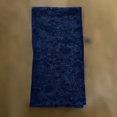 Item thumbnail for item 4c00150b-03ab-4757-a3b5-f3a5a0a3e06a