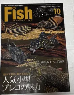 Fish Magazine 2010年10月号 小型プレコの魅力