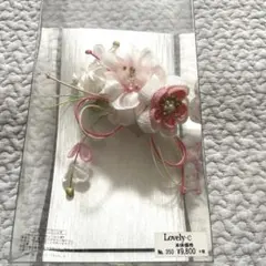 Item thumbnail for item bbf43121-4ba6-408d-8187-2cfa4a9400dc