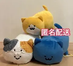 お文具ネコいっぱいぬいぐるみbig 5体セット - メルカリ