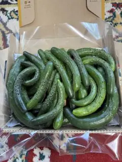 【ちびキュウリ入り】朝採れ 宮崎県産 曲がりきゅうり