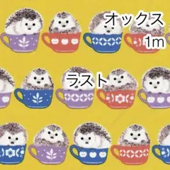ラスト 1m ハリネズミ イエロー オックス