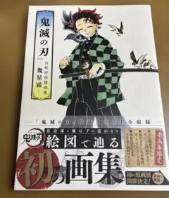 鬼滅の刃 吾峠呼世晴画集―幾星霜―