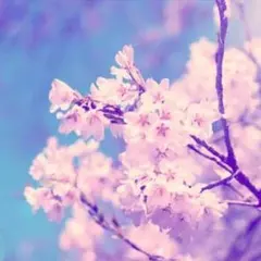 ☆あいり様専用☆