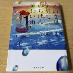 Item thumbnail for item 35c08499-8355-4db5-8b73-c6c538d4f981