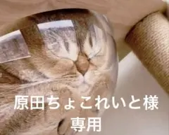 原田ちょこれいと様専用　セットアップ