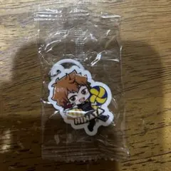 くら寿司✖️ハイキュー!! めじるしチャーム 日向翔陽