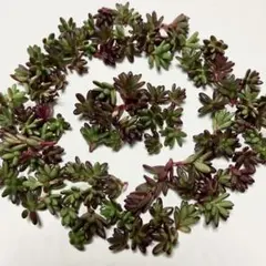 boli様 リクエスト 2点 まとめ商品