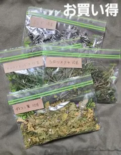 Item thumbnail for item e4f35f2c-f205-44bf-adad-9f1641452d4a