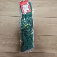 Item thumbnail for item 4532f5b4-00bf-4414-9573-f656c4721f7c