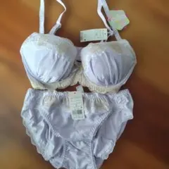 【お値下げ中】トリンプ ラベンダー ブラジャーショーツセット E65 M