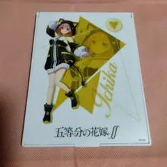 五等分の花嫁 クリアファイル TSUTAYA Amazon.co.jp: クリアファイル 五等分の花嫁 TSUTAYA POP UP