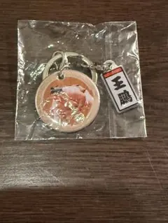 王鵬　大相撲　ガチャ　キーホルダー