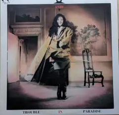 ANRI『Trouble in Paradise』（USED）