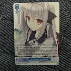 ヴァイスシュヴァルツ 水辺のひととき フェイト N 4枚 魔法少女