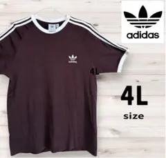 【即完売色】 adidas アディダス リンガーネック Tシャツ 半袖 ブラウン