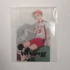 ハイキュー‼︎展　ゴミ捨て場の決戦　入場者特典　音駒高校　3年　屋久衛輔