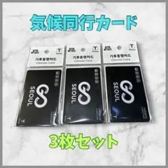 【匿名配送】韓国　気候同行カード3枚セットのサムネイル
