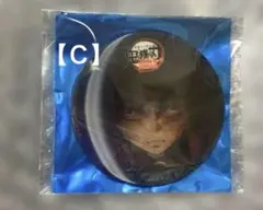 鬼滅の刃　水の呼吸ランダムアクションアニメーション缶バッジＣ【冨岡義勇】