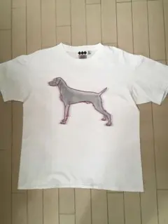 フィネス　Tシャツ　サイズL
