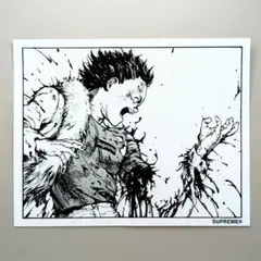 SUPREME AKIRA ARM STICKER