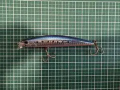 DUO BeachWalker アクシオンSLIM 105のサムネイル