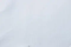 Item thumbnail for item 275dba81-636b-433d-8d40-bbbbfc36fd44