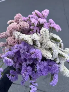 Misayoutaro様 リクエスト 2点 まとめ商品