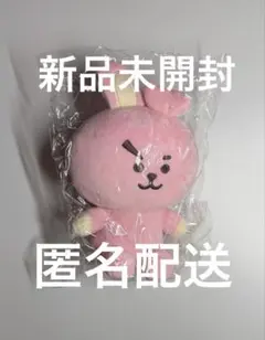 BT21 ベーシックぬいぐるみ　COOKY 新品未開封