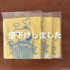 スヌーピー ザパークフロントホテル ユニバーサスタジオ ポンチョ✖️3着