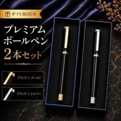 Cセット【ギフトBOX付】プレミアムボールペン シルバー 2本セット