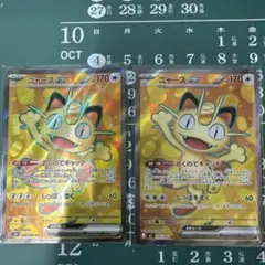 ニャース　管理番号W7