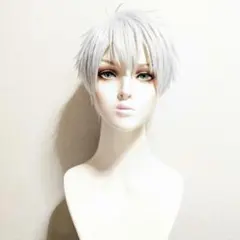 2026年最新】ツイステ シルバー ウィッグの人気アイテム - メルカリ