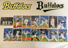 【オリックス•バファローズ】プロ野球チップス　2009年14枚セット