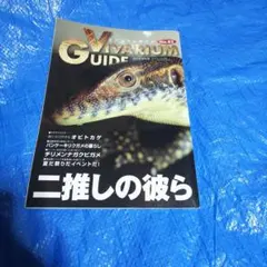 2026年最新】ビバリウムガイドの人気アイテム - メルカリ