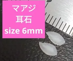 マアジ 耳石 お守りパワーストーン天然石宝石開運受験生物学 F79