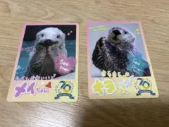 2026年最新】鳥羽水族館コレクションカードの人気アイテム - メルカリ