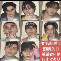 おまけアリ！StrayKids KARMA FANS CD全員セット