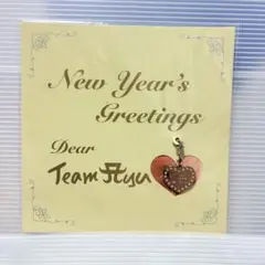 浜崎あゆみ TeamAyu チャーム Greetings ファンクラブ