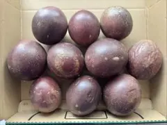 本日残り2箱！沖縄産パッションフルーツ　10個のサムネイル