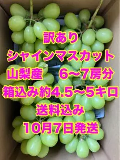 3️⃣ 山梨県産 シャインマスカット 8房入り 箱込5.5キロ - メルカリ