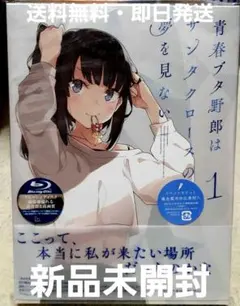 2025年最新】青春ブタ野郎 blu-ray 1の人気アイテム - メルカリ