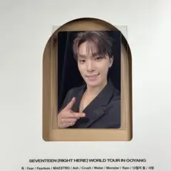 RIGHT HERE デジコ ディノ トレカ SEVENTEEN