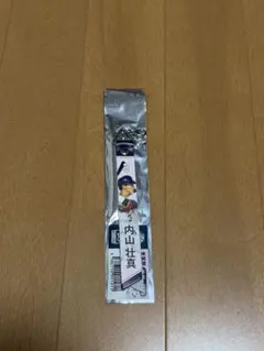 東京ヤクルトスワローズ 内山壮真 選手 ボンフィン　レディースデーのサムネイル