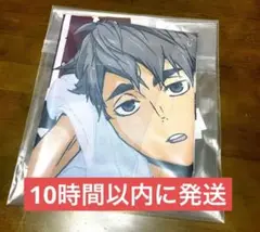 超レア⭐︎当選品　ハイキューのぼり　宮治　極楽湯コラボ