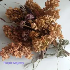 スワッグ ミレットパープルマジェスティ ヒメワレモコウ ケイトウ ジニア